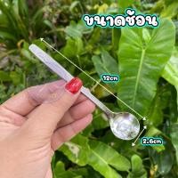 ราคา ช้อนเล็ก ช้อนกาแฟ ช้อนชา ช้อนขนมหวาน ช้อนกินไอติม สแตนเลสแบบหนา เล็กๆ สวยๆ ใช้ชงชา ชงกาแฟโบราณ ตักเครื่องปรุง ตักไอศครีม ไอติม ขนม (20494887714)