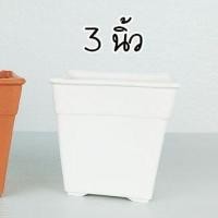 ราคา กระถางต้นไม้ กระถางแคคตัส กระถางกระบองเพชร กระถางพลาสติก ทรงสี่เหลี่ยม ขนาด 2 นิ้ว 3 นิ้ว 3 5นิ้ว 4นิ้ว 4 5นิ้ว ลูกค้าเลือกตามรูปและขนาดที่ต้องการ (13105188968)