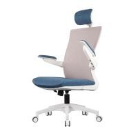Workscape Ergonomic Chair เก้าอี้เพื่อสุขภาพ รุ่น Luna