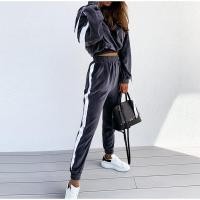 ราคา Womens velvet tracksuit solid hooded long sleeve sweatshirt jogger trouser set casual streetwear autumn winter women suits (11702305457)