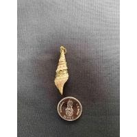 ราคา จี้หอยสังข์ธรรมชาติ Natural conch pendant Gold and silver plated (20050293877)