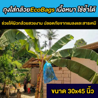 ราคา ถุงห่อเครือกล้วย ถุงห่อกล้วย Ecobags ขนาด30x45นิ้ว ถุงสีฟ้า เหนียวทน ใช้ซ้ำได้ คุ้มสุดๆ ช่วยกล้วยผิวสวย ปลอดภัยจากแมลงและสัตว์ต่างๆ (20207638953)