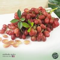 ราคา ส่งฟรี องุ่นแดงไร้เมล็ดกลิ่นลิ้นจี่ (19144436317)