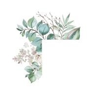 ราคา สติ๊กเกอร์สำหรับสวิตช์ต้นไม้สีเขียว1ชิ้นแบบทำมือถอดออกได้สติกเกอร์ติดผนัง PVC เองลายใบไม้สีเขียวรูปลอกตกแต่งบ้านวอลเปเปอร์ผนังห้องนั่งเล่น (20124875569)