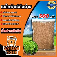 ราคา เมล็ดคื่นฉ่าย เจ้าสัว หนัก 500กรัม เมล็ดพันธุ์คื่นฉ่าย เมล็ดพันธุ์ผัก เมล็ดสมบรูณ์ โตง่าย โตเร็ว ผลผลิตงาม (18688727026)