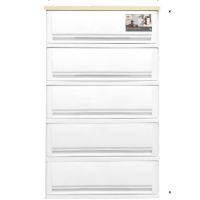 ราคา PP ตู้ลิ้นชักท็อปไม้ 5 ชั้น 42x63x112 ซม รุ่น SUMO WOODTOP สีขาว ploysaisai (20645880914)