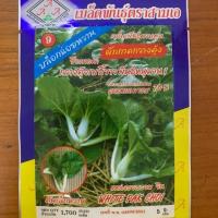 ราคา เมล็ดพันธ์ุผักตราสามเอ บล็อกฉ่อย ต้นหอม ผักชีฝรั่ง พร้อมส่ง (21134932929)