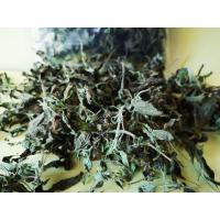 ราคา ใบกระเพราอบแห้ง Dried Holy Basil บรรจุ 1kg (21187045935)