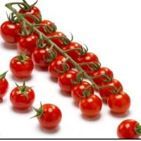 ราคา เมล็ดพันธุ์มะเขือเทศเชอรี่กลมแดง (11394623008)