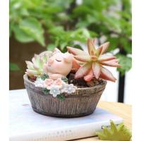 ราคา กระถางเรซิน ลายสัตว์น้อย ไม้อวบน้ำ กุหลาบหิน cactus succulentหลากหลายสายพันธ์ (4665944438)