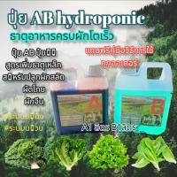 ราคา ปุ๋ยไฮโดรโปนิกส์ ปุ๋ยAB ปุ๋ยน้ำ ปุ๋ยผักสลัด สำหรับปลูกผัก Hydroponics ขนาด1000ML New สูตรเข้มข้ (16273791809)