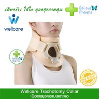 ราคา Wellcare เฝือกเจาะคอ Tracheotomy Collar (8003338313)