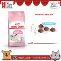 ราคา Royal canin Baby cat 10 kg อาหารแมว โรยัล คานิน สูตรสำหรับลูกแมวหย่านม 4เดือน ขนาด 10 กก (8297065426)