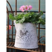 ราคา In Stock Rustic VaseIron กระถางดอกไม้บ้านตกแต่งแจกันสีขาวสำหรับตกแต่งบ้าน Clearance ห้องนอนห้องครัว Country Decor ชุบสังกะสี Planter ถังดีบุกดอกไม้แจกัน Centerpiece (13045133289)