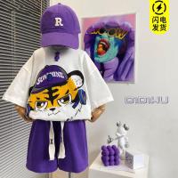 ราคา SUKAL ชุดแฟชั่นเด็ก ชุดเด็กเท่ห์ๆ เด็กชายและเด็กหญิงผ้าฝ้ายแท้ชุดเด็กทารกเสื้อยืดผ้าฝ้ายแขนสั้นด้านบนเพิ่มกางเกง (17739529184)