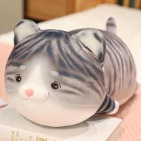 ราคา ของเล่นแมวของเล่นปลอกหมอนอิงตุ๊กตาแมวยักษ์ของเล่นกำมะหยี่รูปทรงกลมน่ารักขนาด30 50 70ซม ลายการ์ตูน3D หมอนเตียงโซฟาที่บ้านของเล่นเด็ก (20098963121)