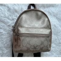 ราคา กระเป๋า Coach แท้ 100 สะพายเป้ใบเล็ก จำกัดจำนวน (16443347462)