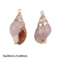 ราคา 2ชิ้นจี้เปลือกหอยที่สวยงามและสวยงามเปลือกหอยธรรมชาติตัวเชื่อมต่อเปลือกหอยสำหรับเครื่องประดับสร้อยคอทำ DIY จี้สร้อยข้อมือ (17288815555)