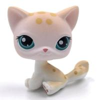 ราคา LPS CAT Rare Littlest pet shop Toys Mini Stands Short Hair Kitten Old Figures Collection Original Bobble head toys (20562455629)