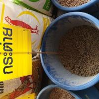 ราคา กระต่ายอาหารเม็ด 9 กก พร้อมข้าวโพด ข้าวฟ่าง รำข้าว กระต่ายรักษาหญ้าแห้งคุณกับดวงตาที่สดใสและหางเป็นพวง เม็ดเล็กเส้นผ่าศูนย์กลางยาวสต็อกในประเทศไทย จัดส่งที่รวดเร็ว (1826900432)