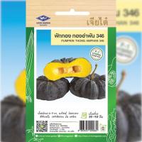 ราคา เมล็ดพันธ์ุ ฟักทอง ทองอำพัน 346 ตราเจียไต๋ (19493579727)