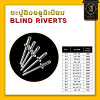 ราคา STscrews ตะปูรีเวท ดอกตะปู ลูกรีเวท ตะปูยิงรีเวท (19450920604)