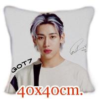 ราคา ส่งจากไทย หมอนพิมพ์ลาย BTS GOT7 EXO NCT THE BOYZ มีทั้งหมอนและปลอกหมอน (20157389587)