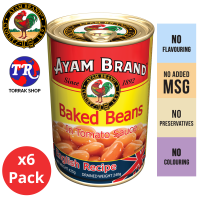 ราคา AYAM Baked Beans in Tomato Sauce English Recipe ถั่วขาวในซอสมะเขือเทศ สูตรต้นตำรับอังกฤษ 425g 6pack (20029614236)