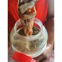 ราคา ปลาร้าปลาขาว ปลาร้าปลาช่อน คัดอย่างดี เนื้อเยอะ รสนัว จากอุดรธานี 1 กิโลกรัม (20654410168)