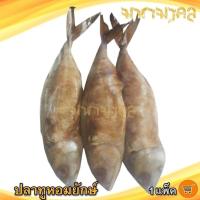 ราคา ปลาทูหอมยักษ์ 3ตัว 1แพ็ค ปลาทูหอม ปลาทูหอมเค็ม ปลาทู ปลาทูแม่กลอง ปลาเค็ม ปลาตากแห้ง ปลาแห้ง อาหารทะเล อาหารทะเลแห้ง ของฝาก ประจวบ (18461754555)