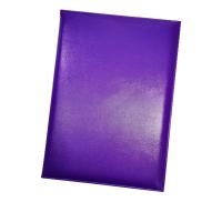 ราคา MEE แฟ้มกล่าวรายงาน ปกหนังเทียม ปกเรียบ A4 หลากสี (9251429382)