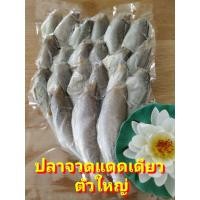 ราคา ปลาจวด 1kg ปลาจวดแห้ง ปลาเค็ม แดดเดียว ทำใหม่สด OTOP เนื้อนุ่ม ปลาแดดเดียว (20589895186)