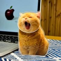 ราคา Healer โมเดลน้องแมวส่ายหัวดุ๊กดิ๊ก น้องแมวส่ายหัว แมวหน้าสั่น (20920874782)