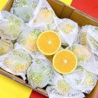 ราคา ส้มเช้งน้ำผึ้ง ไซร์ L หอม อร่อย เนื้อแน่น แช่เย็นฟินเวอร์ 1 ลัง 5 kg รวม (16743451556)
