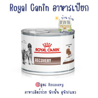 ราคา Royal Canin Recovery อาหารกระป๋องสำหรับสัตว์พักฟื้น 195 g ระยะพักฟื้นและการดูแลหลังผ่าตัด (20784538188)