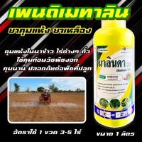 ราคา เพนดิลิน ขนาด 1 ลิตร แพนดาลิน เรดด็อกคุม ยาเหลือง เพนดิเมทาริน เพนดิเมทาลิน คุมวัชพืชใบแคบและใบกว้าง ยาคุมแห้ง ยาคุมแห้งน้ำสีเหลืง (13606925461)