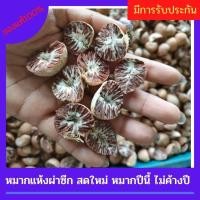 ราคา หมากพลู หมากแห้ง1โล หมากแห้งผ่าซีก หมากแห้งพม่า หมากแก่ สดใหม่ ส่งฟรีเก็บเงินปลายทาง (15959023799)