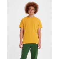 ราคา เสื้อยืด Levis Gold Tab Mens Tee (21120219439)