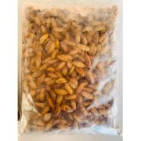 ราคา หนอนไหมดักแด้แช่แข็ง 1kg อุดมด้วยโปรตีน (21054725559)