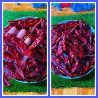 ราคา พริกแห้งชี้ฟ้า 500 กรัม ครึ่งโล 130 บาท คัดพิเศษ เกรดAAA สวยๆใหม่สดทุกวัน (20821423516)