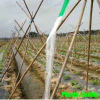 ราคา Benmax ค้างปลูกผัก ค้างผัก 2x100 เมตร ตาข่ายปลูกผัก โครงไม้เลื้อย ตาข่ายแตง ตาข่ายไม้เลื้อย อวนมะระ อวนแตง (12589109165)