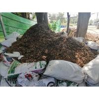 ราคา ส่งฟรี ใบก้ามปู แห้ง 1 กระสอบ 3 5kg เกาะต่างๆสั่งซื้อขั้นต่ำ 5 รายการ ใช้เวลาจัดส่ง 4 7 วันค่ะ (4207680766)