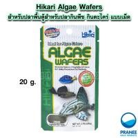 ราคา Hikari Algae Wafers สำหรับปลาพื้นตู้สำหรับปลากินพืช กินตะไคร่ แบบเม็ดจม 40 82g (554146988)