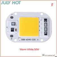 ราคา JULYHOT เชิงเส้นไดรฟ์ฟรีแหล่งกำเนิดแสงซังอัจฉริยะชิป LED 20W 30W 50W AC 220V 220V แรงดันสูงลูกปัดหลอดไฟ LED (20400576444)