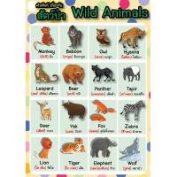 ราคา โปสเตอร์ภาพ A4 Wild animals สัตว์ป่า (21155134671)