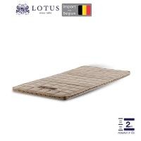 ราคา LOTUS ที่นอนยางพารานุ่มสบาย หนา 2 นิ้ว Latex made in Belgium ส่งฟรี (15587991427)