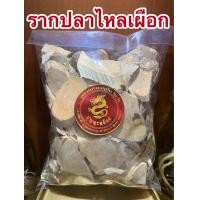 ราคา รากปลาไหลเผือก ปลาไหลเผือกบรรจุ100กรัมราคา45บาท (10775321402)