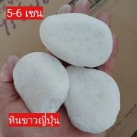 ราคา หินบาหลี หินดำเงา หิน หินนิล หินตู้ปลา หินใส่ตู้ปลา หินตกแต่งตู้ปลา หินโรยหน้ากระถาง (13733668899)