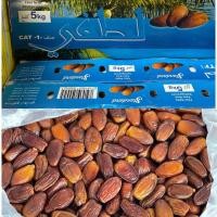 ราคา โปรร้านใหม่ อินทผาลัมเดกเลทนัวร์ไร้ก้าน ยกลัง 5 กิโลกรัม อินทผลัม สด ใหม่ แห้ง ไร้มอด ไร้แมลง หวานธรรมชาติ (16788023811)