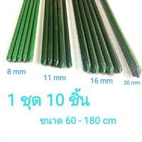 ราคา 10ชิ้น ไม้ค้ำ ไม้ค้ำต้นไม้ ไม้ค้ำยัน ไม้ค้ำยันต้นไม้ เสาไม้เลื้อย หลักไม้เลื้อย อุโมงค์ต้นไม้ จัดซุ้มต้นไม้ รั้วต้นไม้ จัดสวน ท่อเหล็กPE เสาค้ำยางอินเดีย เสาค้ำผักสวนครัว เสาองุ่น เสามะเขือเทศ ซุ้มกุ 